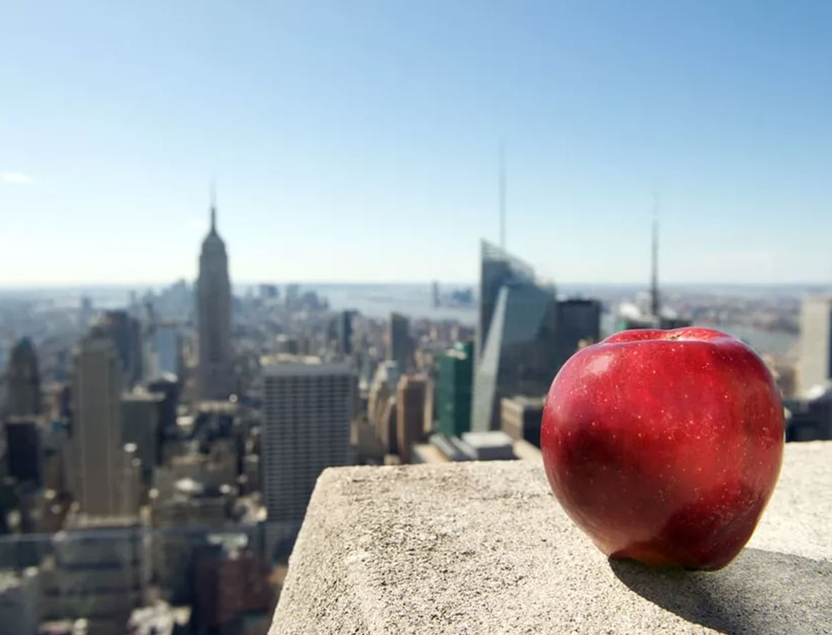 Bite into Knowledge - Why NYC Earned the Big Apple Name - Juicy History