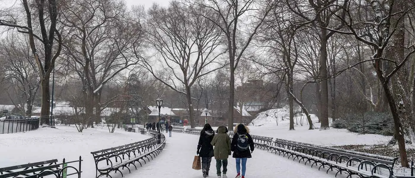 Top Winter Chills & Exciting Things to Do in New York in February