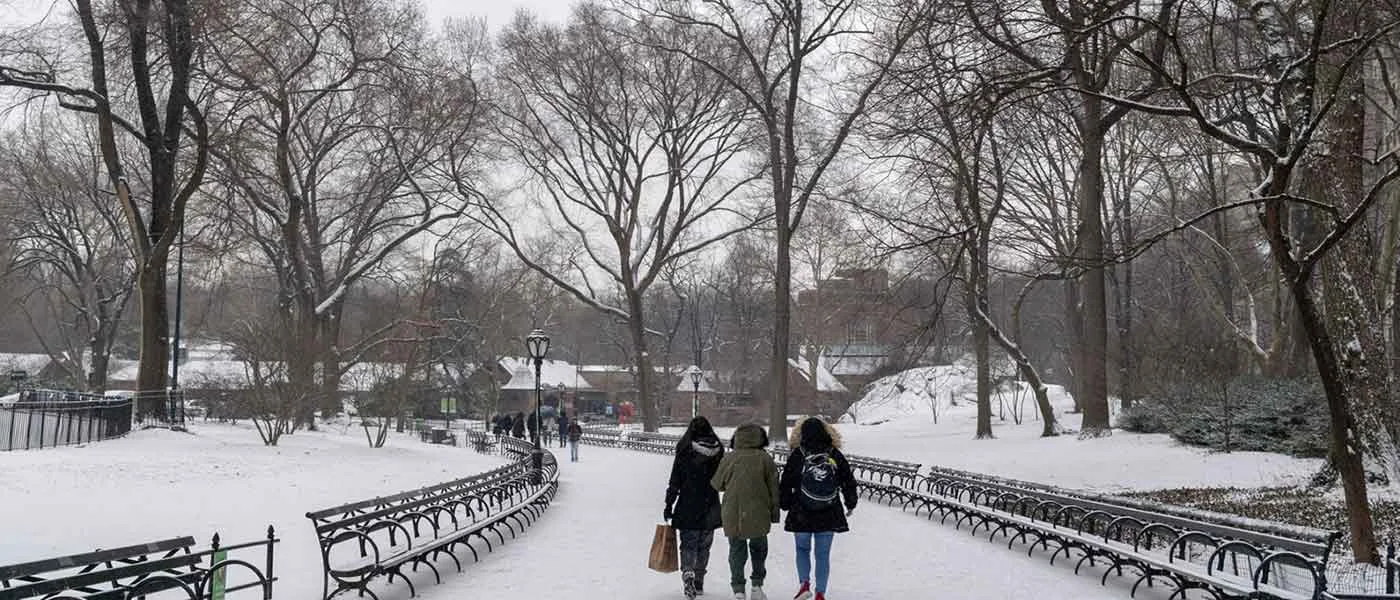 things to do in new york in february