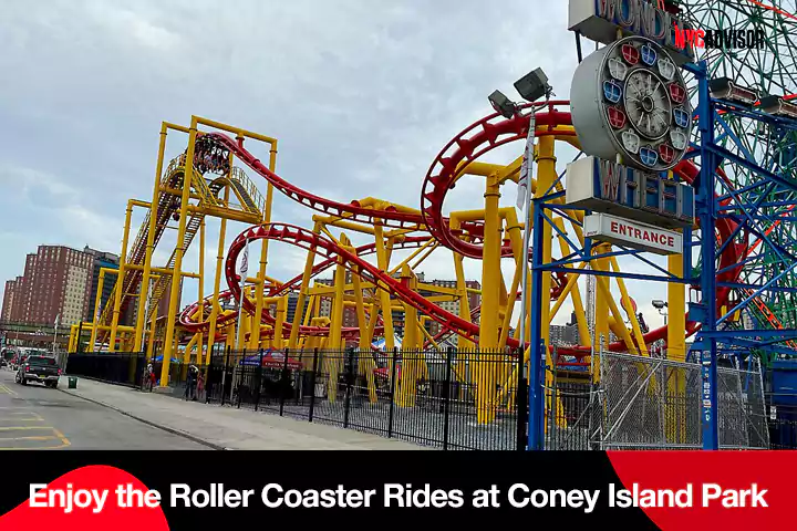 Roller Coaster Rides