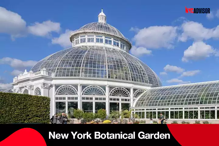 New York Botanical Garden