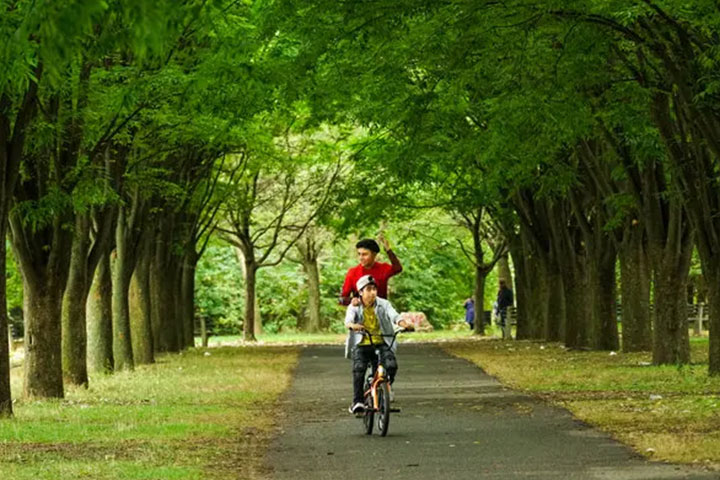 The Greenest Borough of Them All