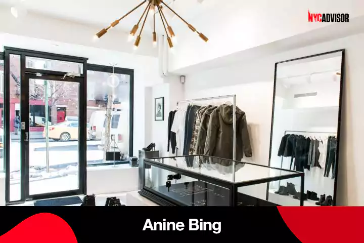 The Anine Bing NYC