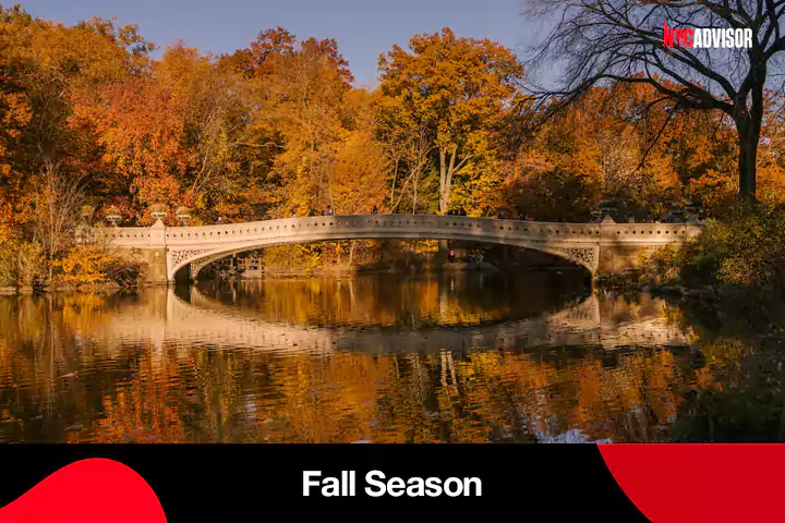 Fall Season in New York City for Tourists