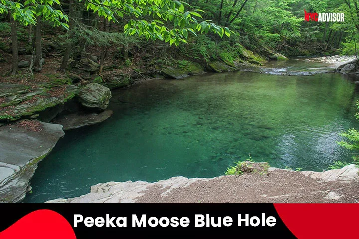 Peekamoose Blue Hole, Denning, NY