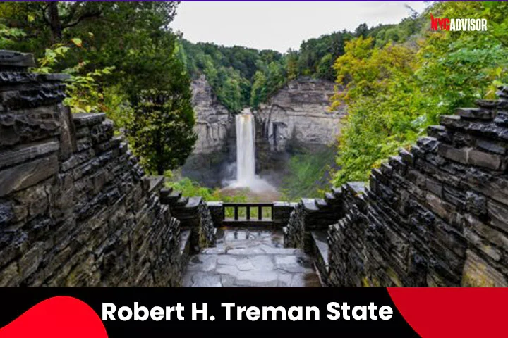 Robert H Treman State