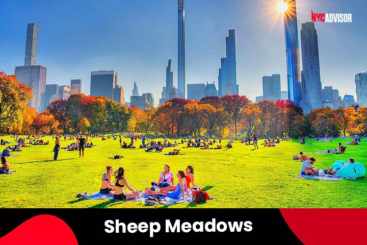 Sheep Meadows in Central Park