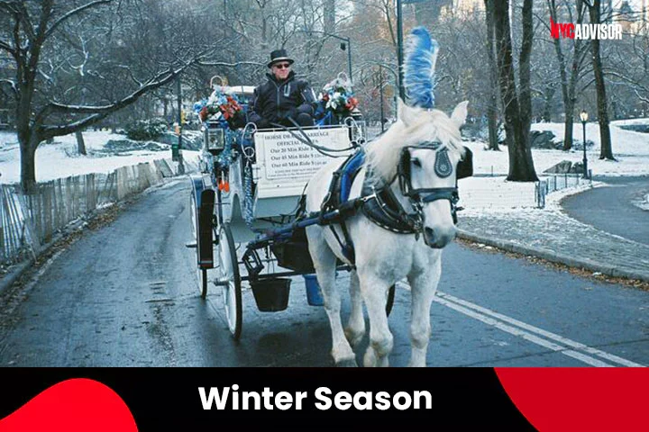 Winter Season & Weather in January, New York City