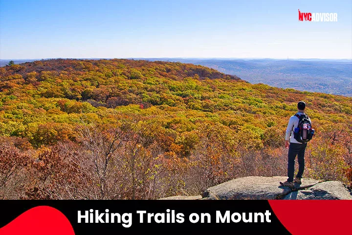 Hiking Trails on Mount Beacon