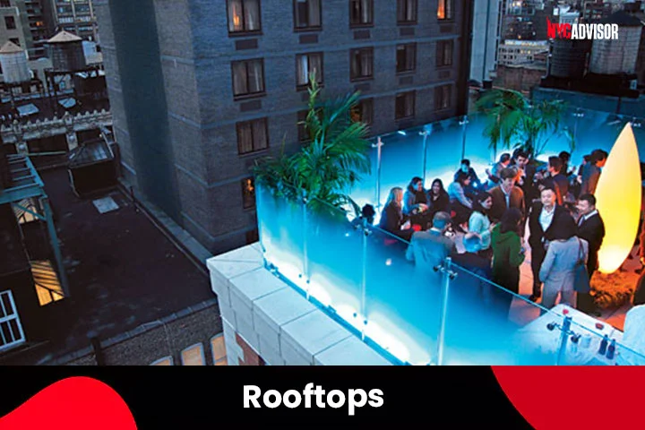 Rooftops in NYC in Summer