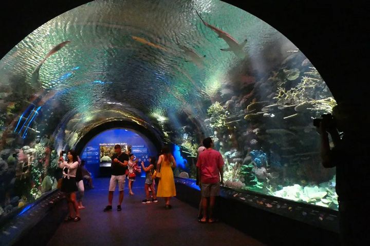 Free Entry at the New York Aquarium