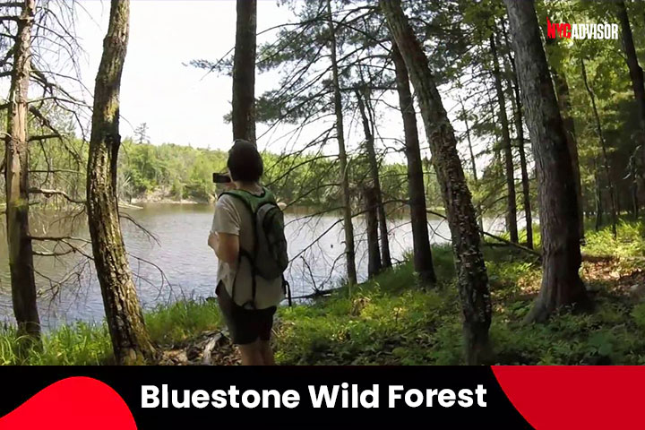 Bluestone Wild Forest