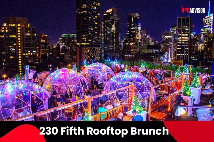 The 230 Fifth Rooftop Brunch in NYC