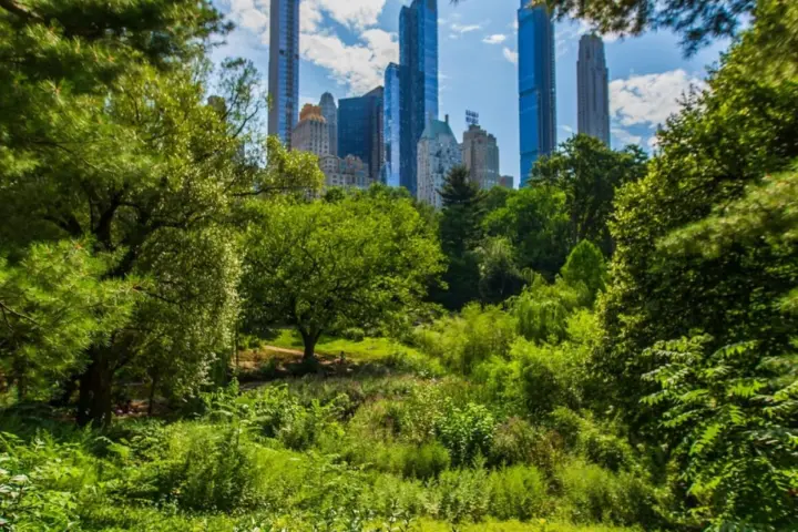 Central Park covered a larger area, like a small country