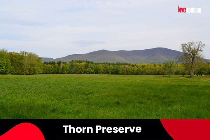 Thorn Preserve