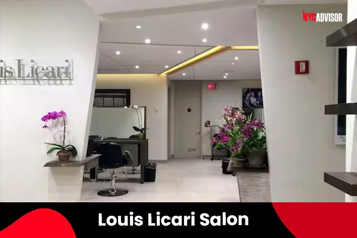 Mizu Louis Licari Salon in New York City