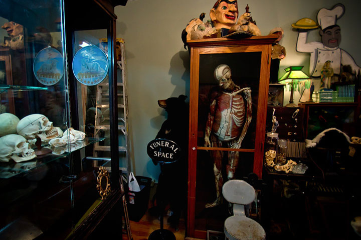 Obscura Antiques & Oddities
