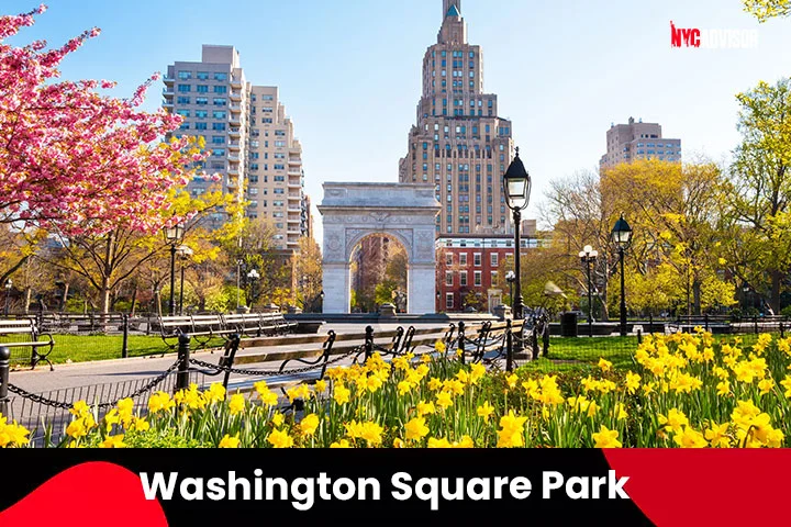 visit ny in november Washington Square Park, New York City