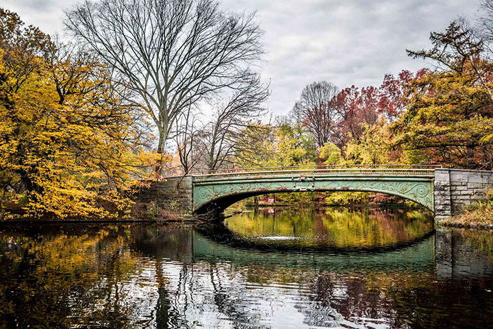 Prospect Park