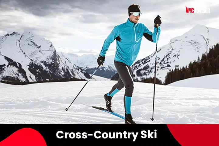 Cross-Country Ski