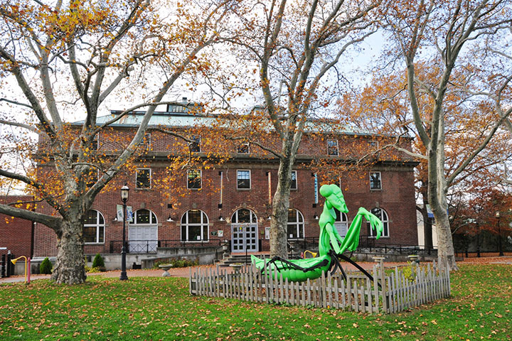 Staten Island Childrens Museum