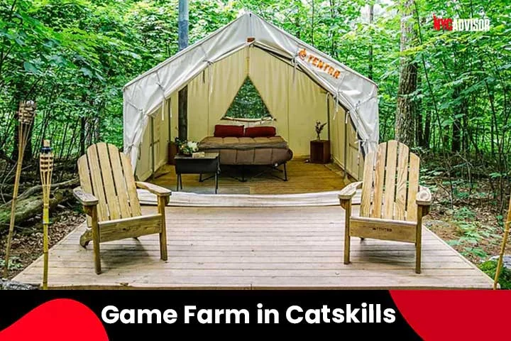 Game Farm in Catskills Glamping, NY