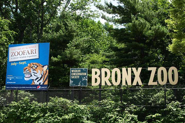 Bronx Zoo: A Wild Expedition