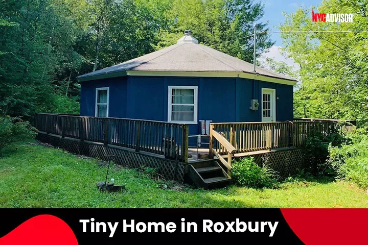 Tiny Home in Roxbury, Glamping, NY