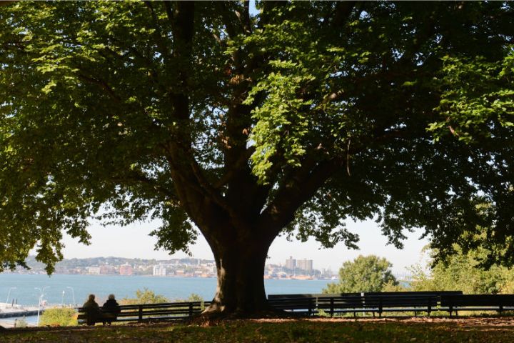 Owls Head Public Park in Bay Ridge