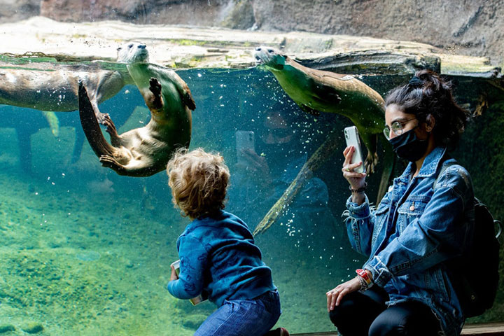 Visit the Wildlife in Staten Island Zoo