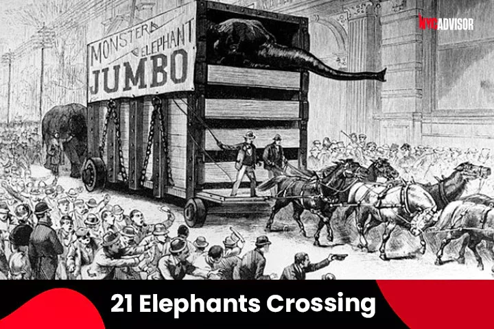 In the year 1884, twenty-one elephants made their way across the Brooklyn bridge.