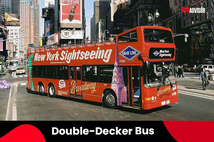  Explore NYC on the Double-Decker Bus Tour