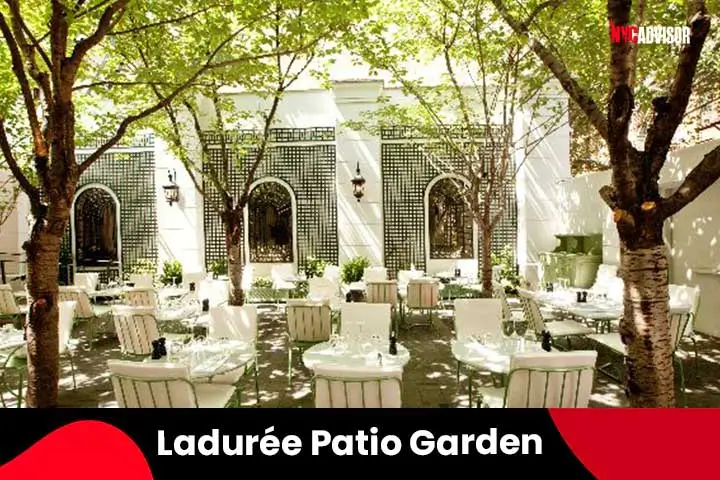 Ladur�e Patio Garden