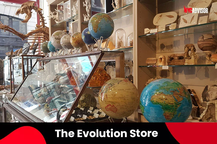 The Evolution Store in Manhattan, NYC