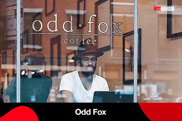 Odd Fox