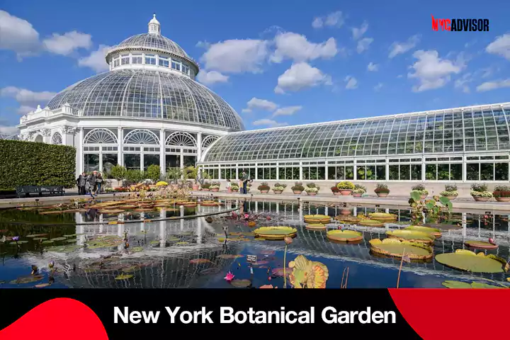 New York Botanical Garden