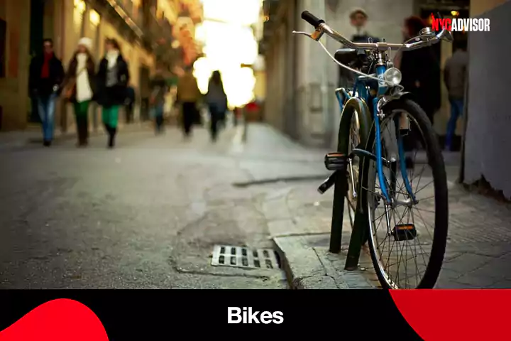 Explore the City on Bikes