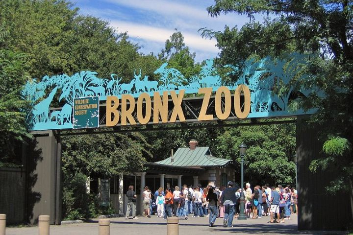 The Bronx Zoo for Kids in NYC