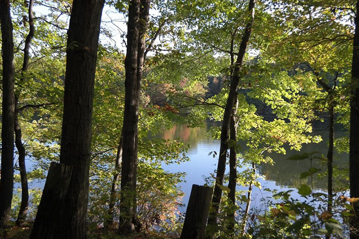 Hike or Picnic at High Rock Park