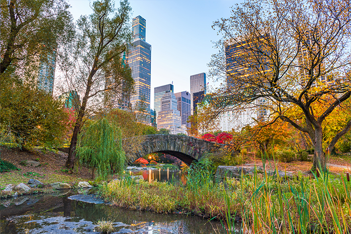 Discover Central Park