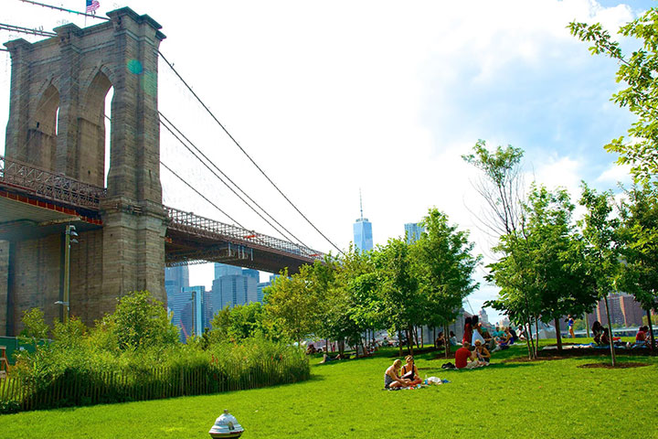Relax at Brooklyn Bridge Park
