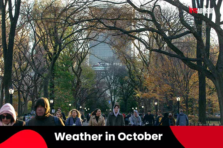Weather in October Fall Season in New York City