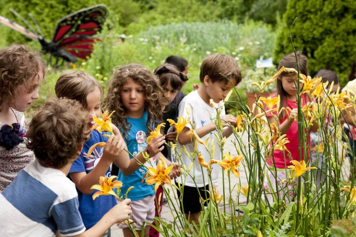 Explore the Childrens Adventure Garden with Kids in New York City