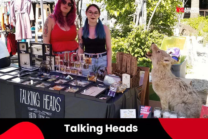 Talking Heads Hair Parlour & Curio Shoppe, Rochester, New York
