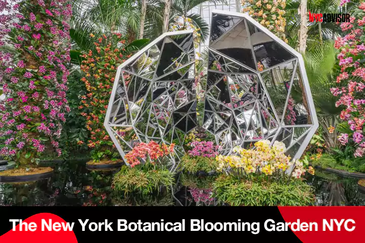 New York Botanical Blooming Garden