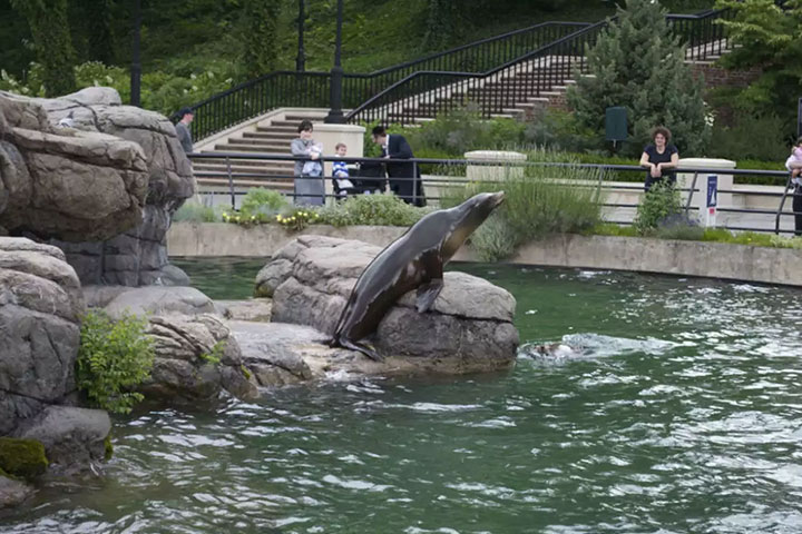 Prospect Park Zoo