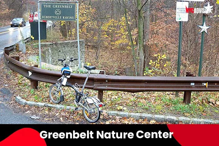 Greenbelt Nature Center, New York City