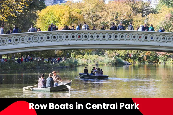 Row Boats in Central Park, New York, October