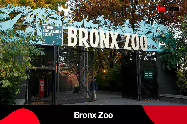 Bronx Zoo