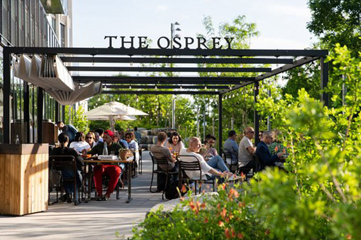 Enjoy the Brunch at Osprey Rooftop